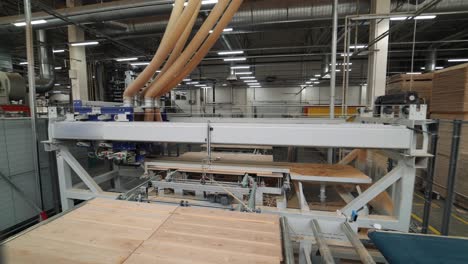 modern equipment is polishing wooden boards at the plant of woodworking. manufacturing of parquet . production line
