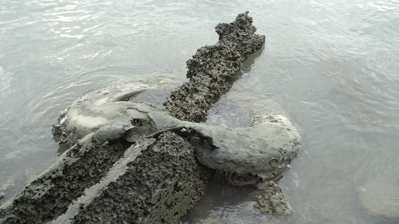 neumáticos abandonados y basura