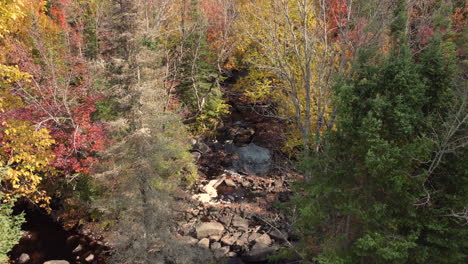 Ascending-from-clearing-amongst-colourful-trees-where-stream-winds-through-rocks