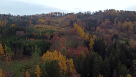 flying-above-colorful-autumnal-mixed-forest-on-a-hill-with-cloudy-blue-sky