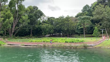 Man-from-far-walk-with-an-umbrella-on-the-wooden-boardwalk-on-a-drizzling-day-in-MacRitchie-Reservoir,-Singapore