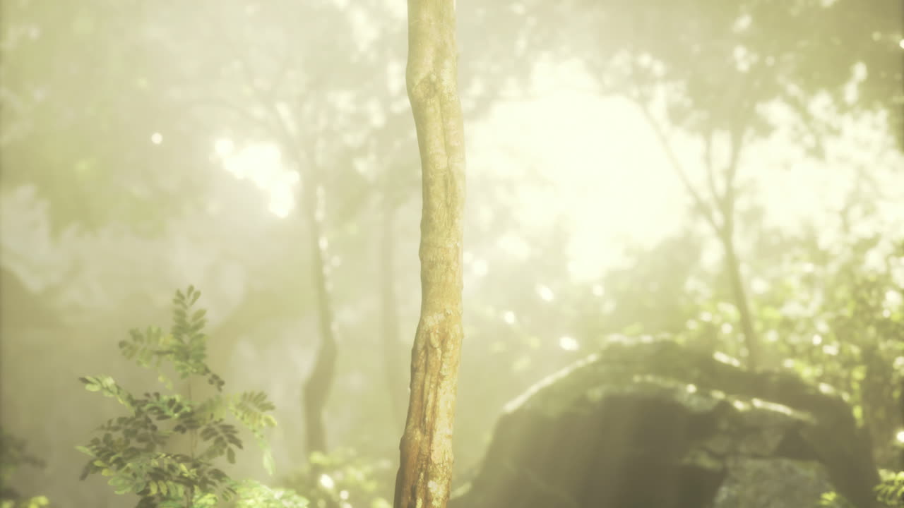 Mystical forest illuminated by gentle rays with a central tree