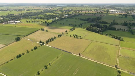 Aerial-drone-shot-over-green-fields-near-the-town-of-Leek-province-of-Groningen,-Netherland