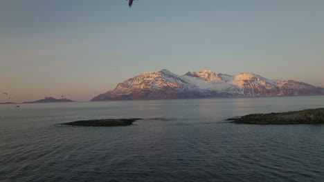 a drone shot, slow rotation of birds flying in the artic circle