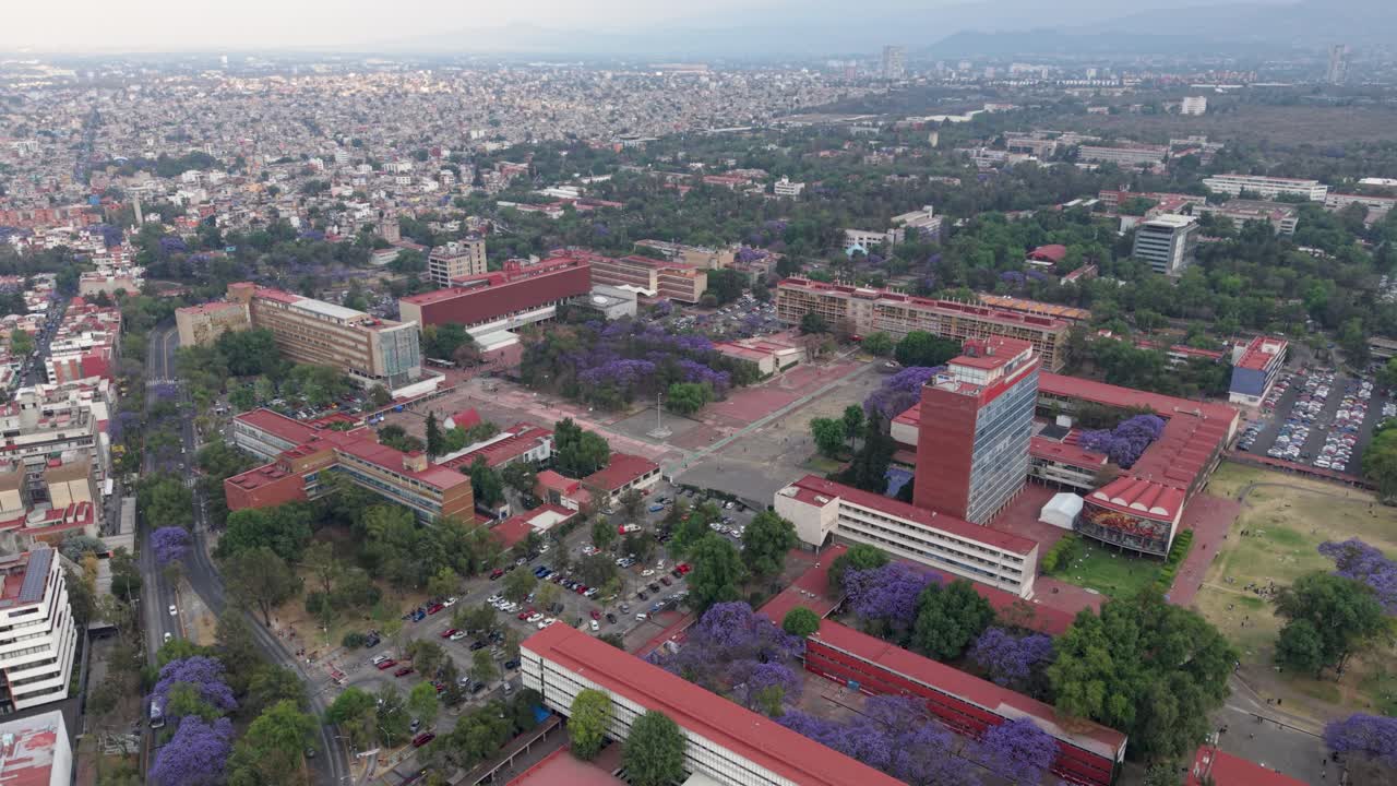 Aerial view of university campus with blooming jacaranda trees, Mexico City