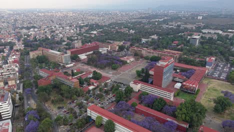 aerial view of university campus with blooming jacaranda trees, mexico city