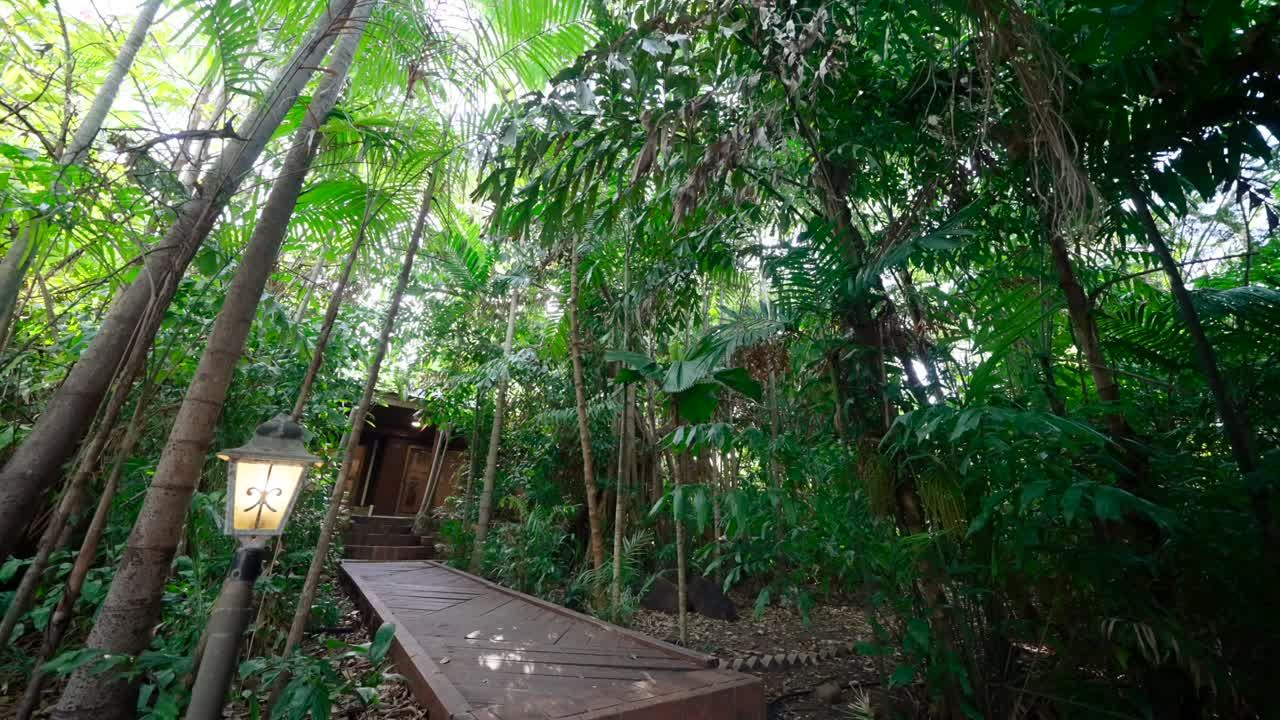 Lush green exterior view of secluded house, ideal for peaceful real estate listings, tropical canopy above balinese style walkway
