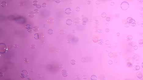 blue and clear soap bubbles on pink background a lot of blue and clear soap bubbles isolated on pink background