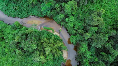 drone flying over rainforest river