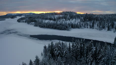 beautiful aerial view rising above snowy lapland sweden winter landscape forest trees at sunrise