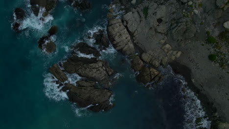 vista aérea de arriba hacia abajo del grupo de focas en la costa rocosa salvaje en nueva zelanda