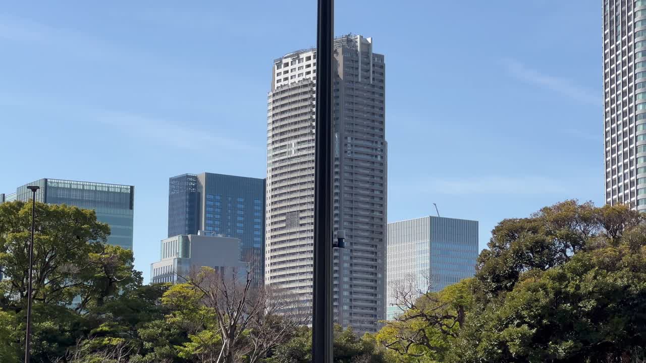 日本、東京、中央区のオフィスビルや高層ビルが立ち並ぶ木々の梢の上をパンする