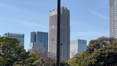 pan over the treetops with office buildings skyscrapers in chuo city, tokyo japan