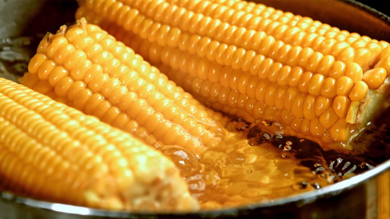 Close-up of Fresh Corn Cobs Boiling in Hot Water