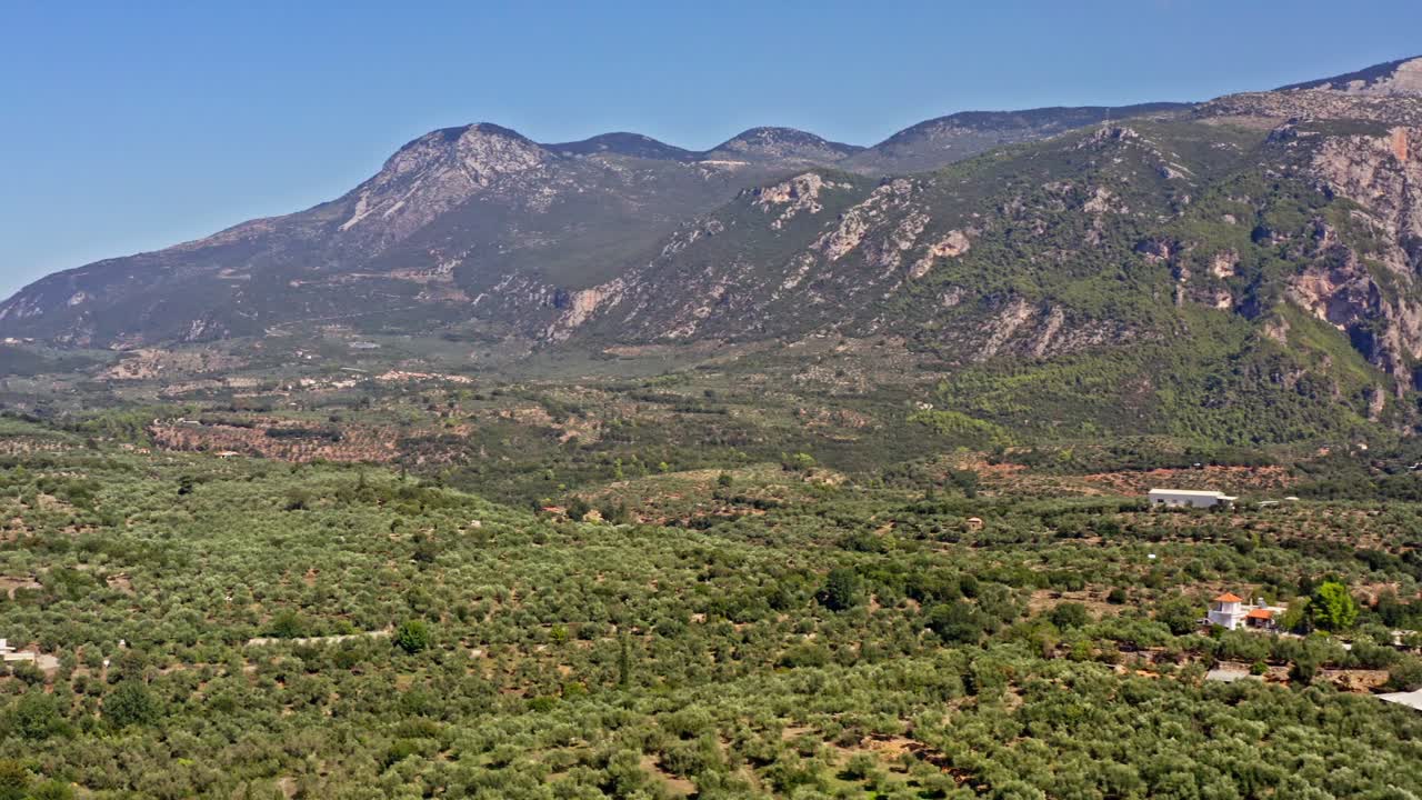 Peloponnese olive tree landscape Greece rural agriculture. Aerial