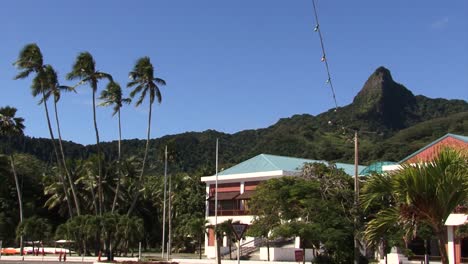 阿瓦魯亞,拉羅通加,庫克群島,房屋,棕<unk>樹和山