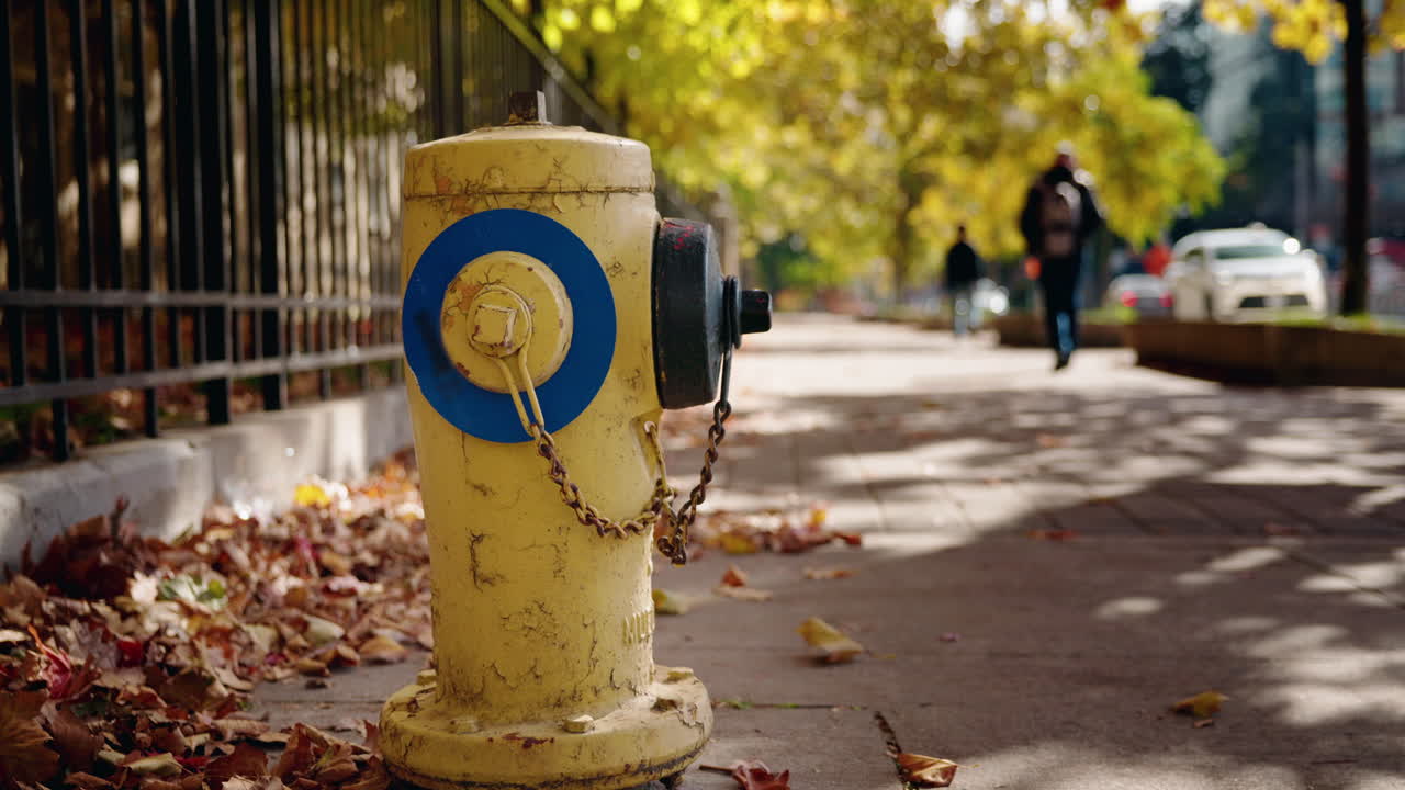 Fire Hydrant on a Sidewalk in Autumn