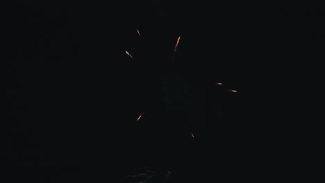 espectáculo de fuegos artificiales por la noche