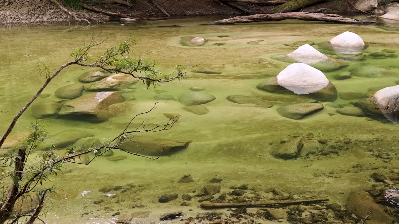 A serene stream flows over moss-covered rocks in a lush rainforest, captured with smooth camera movement and natural lighting