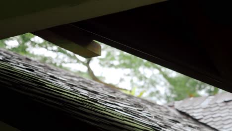 rainwater dropping on roof