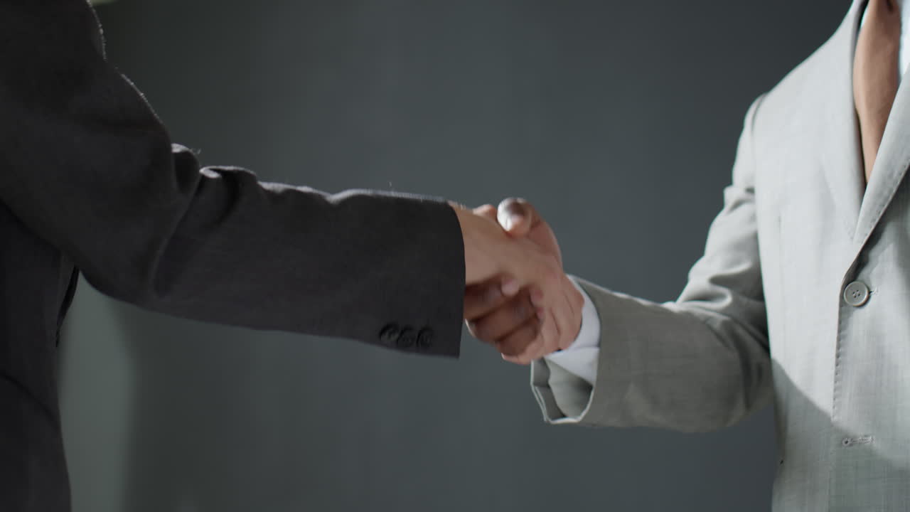 Business Partners Communicating and Shaking Hands