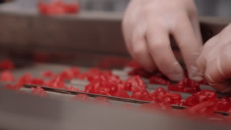 los empleados de la fábrica de producción nutracéutica distribuyen vitaminas gomosas rojas