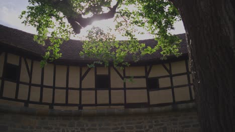 a scenic shot of a tree overlooking a historic building in rothenburg ob der tauber