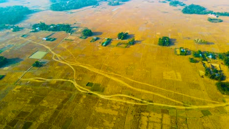 Vista-Panorámica-Sobre-Campos-Dorados-En-Bangladesh-Rural---Disparo-Aéreo-De-Drones