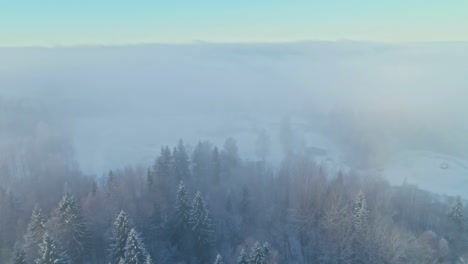 Vista-Aérea-De-La-Densa-Niebla-Matutina-De-Invierno-Sobre-El-Bosque