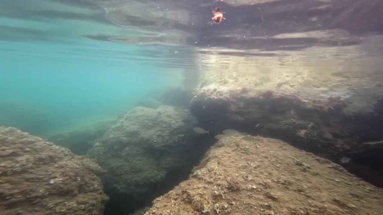 Submerged rock formations creating a seabed habitat under the clear ocean water, with sunlight filtering from the deep sea surface