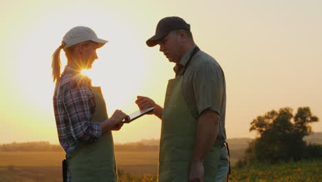 Bauern,-Mann-Und-Frau-Kommunizieren-Bei-Sonnenuntergang-Auf-Dem-Feld-Mit-Einem-Tablet