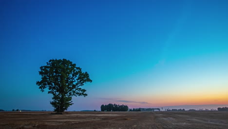 asombroso amanecer timelapse detrás de un árbol aislado con cielo despejado por encima