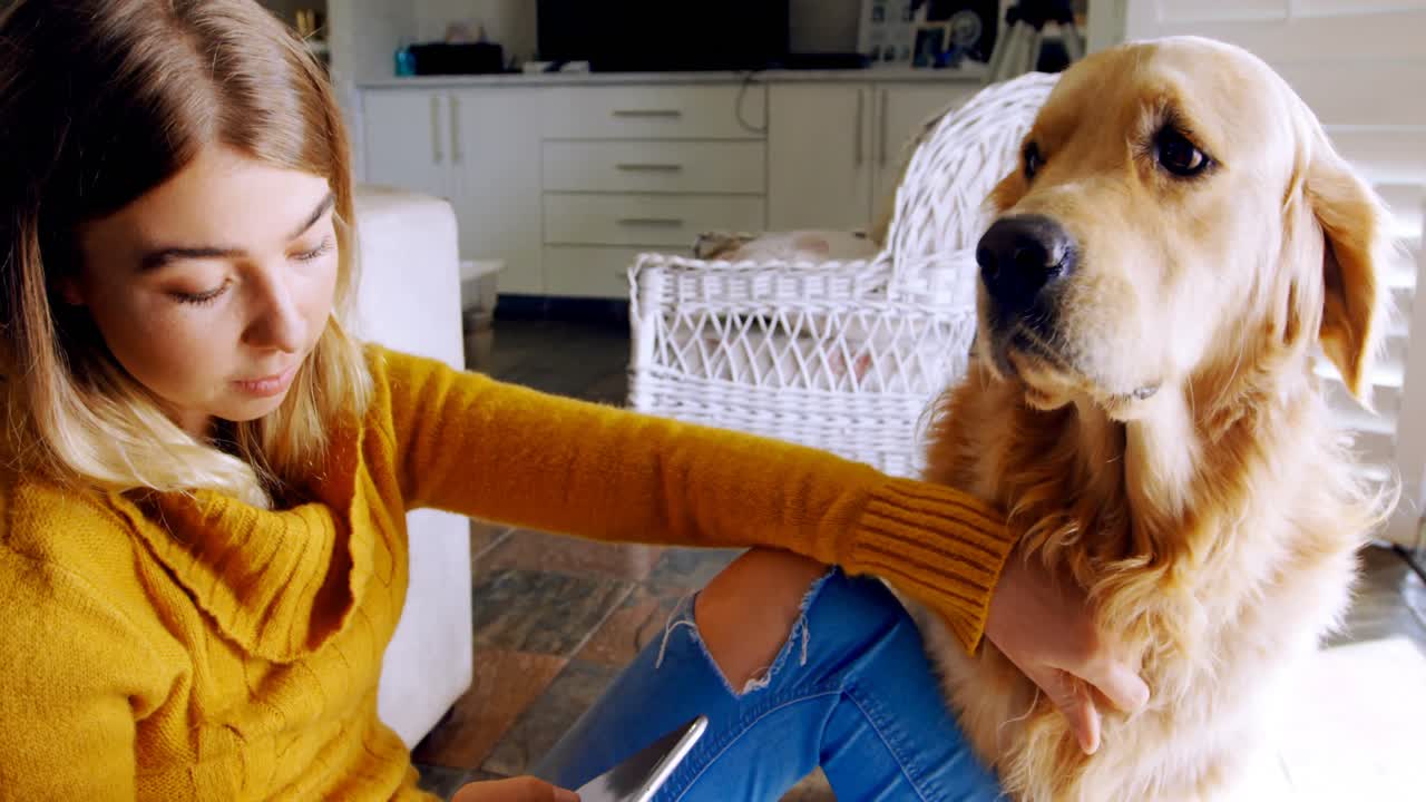 개와 함께 휴대폰을 사용하는 여성 4k