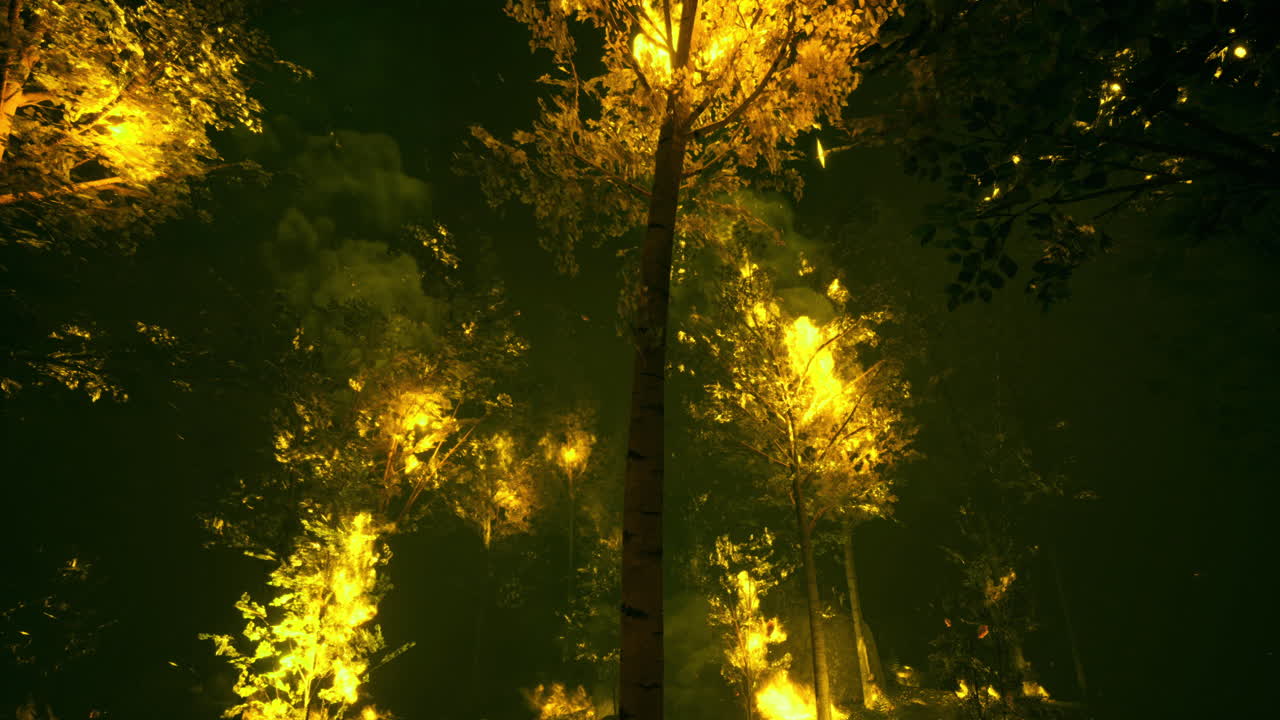 Fiery woodland illuminates the night sky with vibrant orange and yellow hues