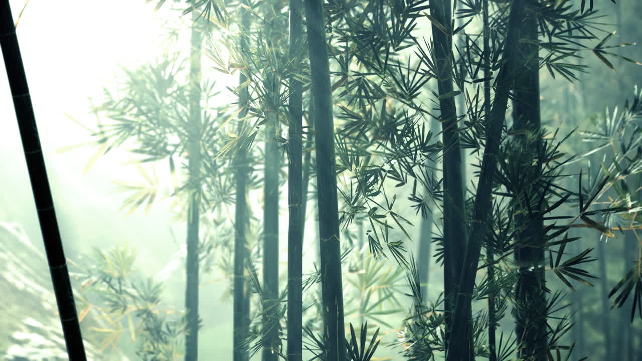 bambú verde en la niebla con tallos y hojas