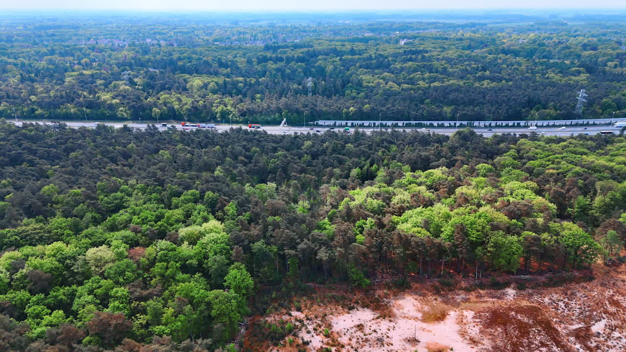 Green forest in the Netherlands. A serene view of dense forests and a winding road in the Netherlands, showcasing nature's beauty and tranquility