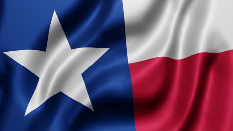 texas us state flag waving