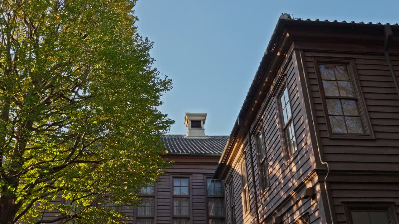 Low-angle view of classic brown wooden buildings with traditional architectural details, set against a clear blue sky and the lush green leaves of an old tree in Ueno Park, Tokyo.
