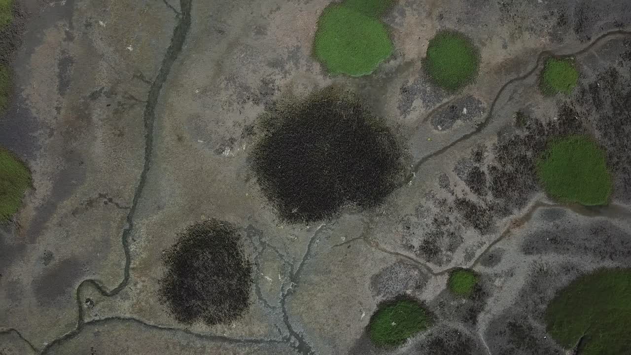 vista cenital desde un dron que volaba sobre un campo y un río