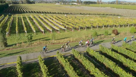 aerial - group of bikers racing through a winery in marlborough, new zealand