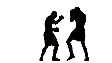 two boxers in silhouette
