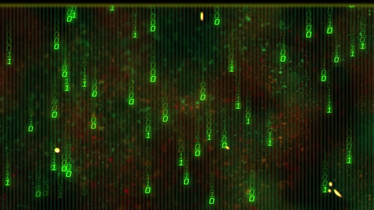 Animation of binary coding and data processing