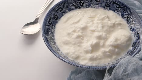 bowl of yogurt