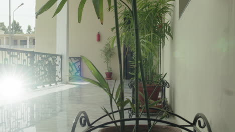 a low angle view of a balcony of a house in the morning, plants in the balcony, a harsh light rays of the sun, a fire extinguisher on the wall and a door at the corner