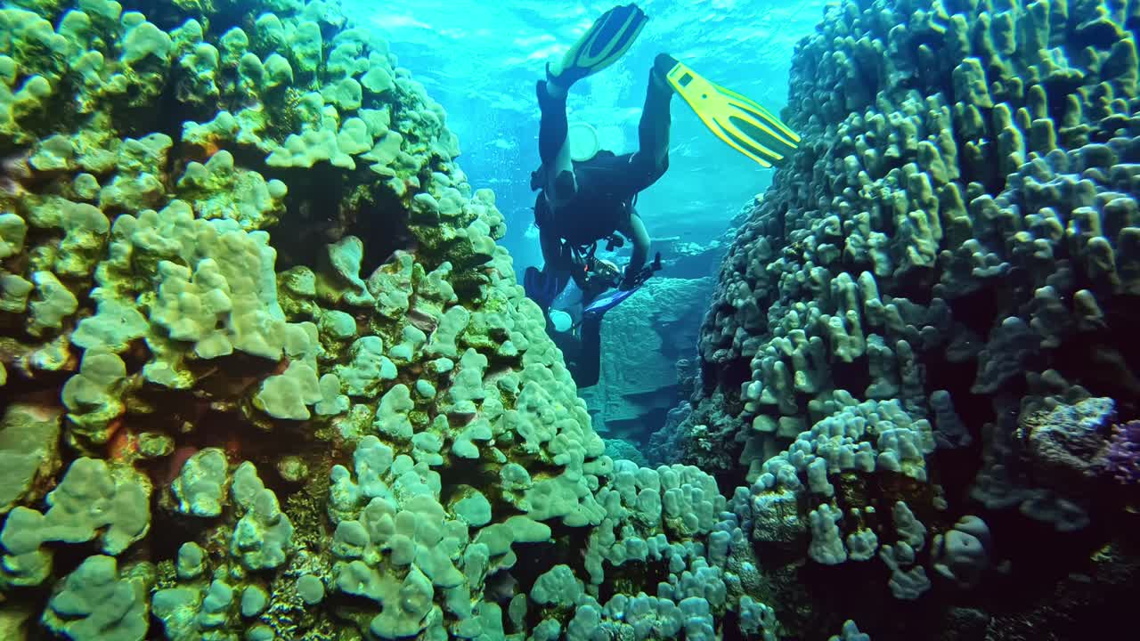 buceo y exploración del mundo submarino.