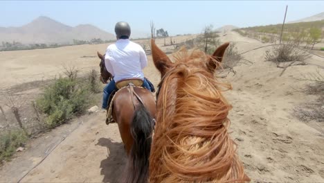 male horse rider guiding the way, 2nd rider pov in chestnut horse