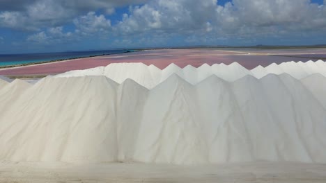 las salinas de bonaire