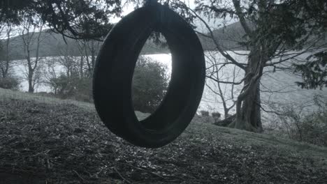 tire rope swing bad weather nostalgic