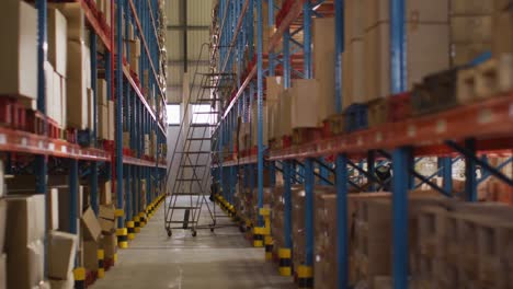 Empty-warehouse-with-multiple-boxes-on-shelfs-with-ladder-on-floor