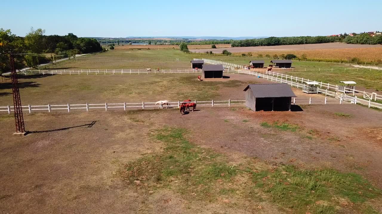 Aerial view of horses grazing in paddocks, surrounded by fields